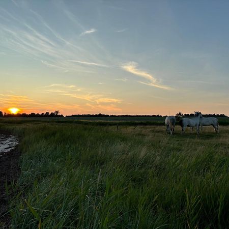 Nedlagt Gard I Naturen Med Ro Og Fred Og Samtidig Taet Pa Strand Og Fiskeri Og Indkobsmuligheder Nordborg Bagian luar foto
